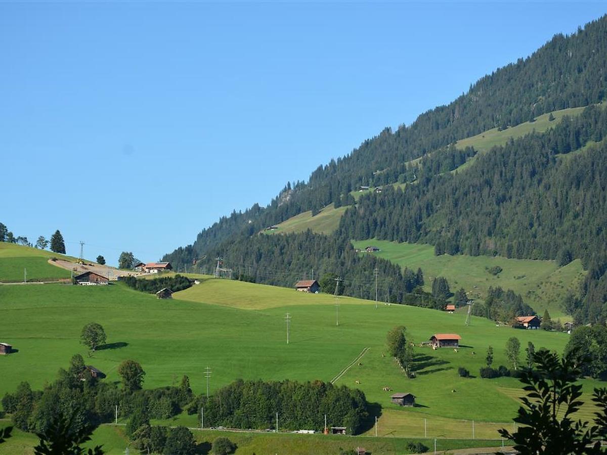 Apartment Eichhorn By Interhome Zweisimmen Exterior foto